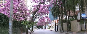 DESENTUPIDOR NO CAMBUI EM CAMPINAS esgoto, talo, pia, vaso, caixa